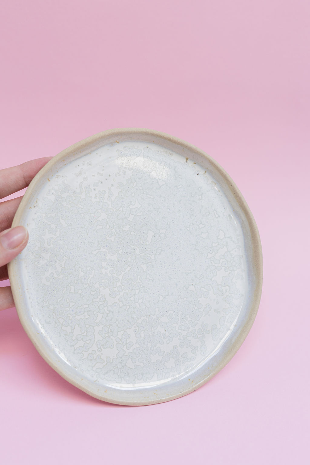 assiette émaillée en blanc neige